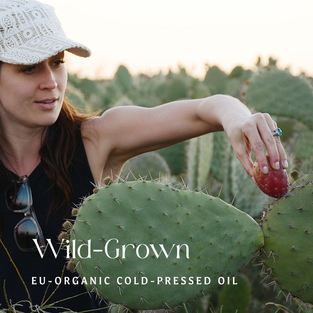 Barie | Prickly Pear Cactus Seed Oil