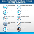 Whimsical Die Cut Vinyl Sticker Set - Fun Kitchen Fridge Door Decorative Labels