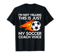 Im Not Yelling This Is Just My T-Shirt - Streetwear Style for Adults