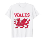 Red Dragon Wales Soccer Jersey T-Shirt - Fun Novelty Design Men Women