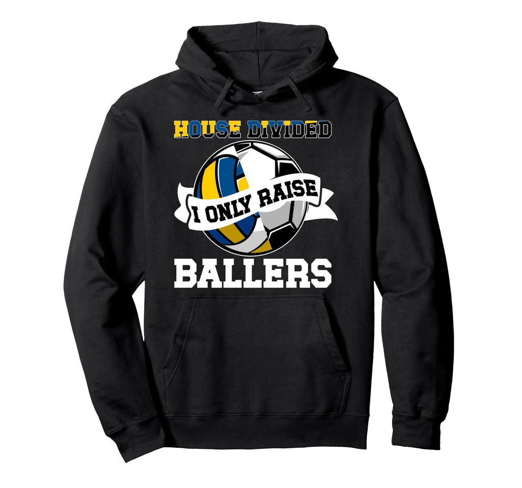 House Divided I Only Raise Ballers Hoodie - Unique Graphic Men Women
