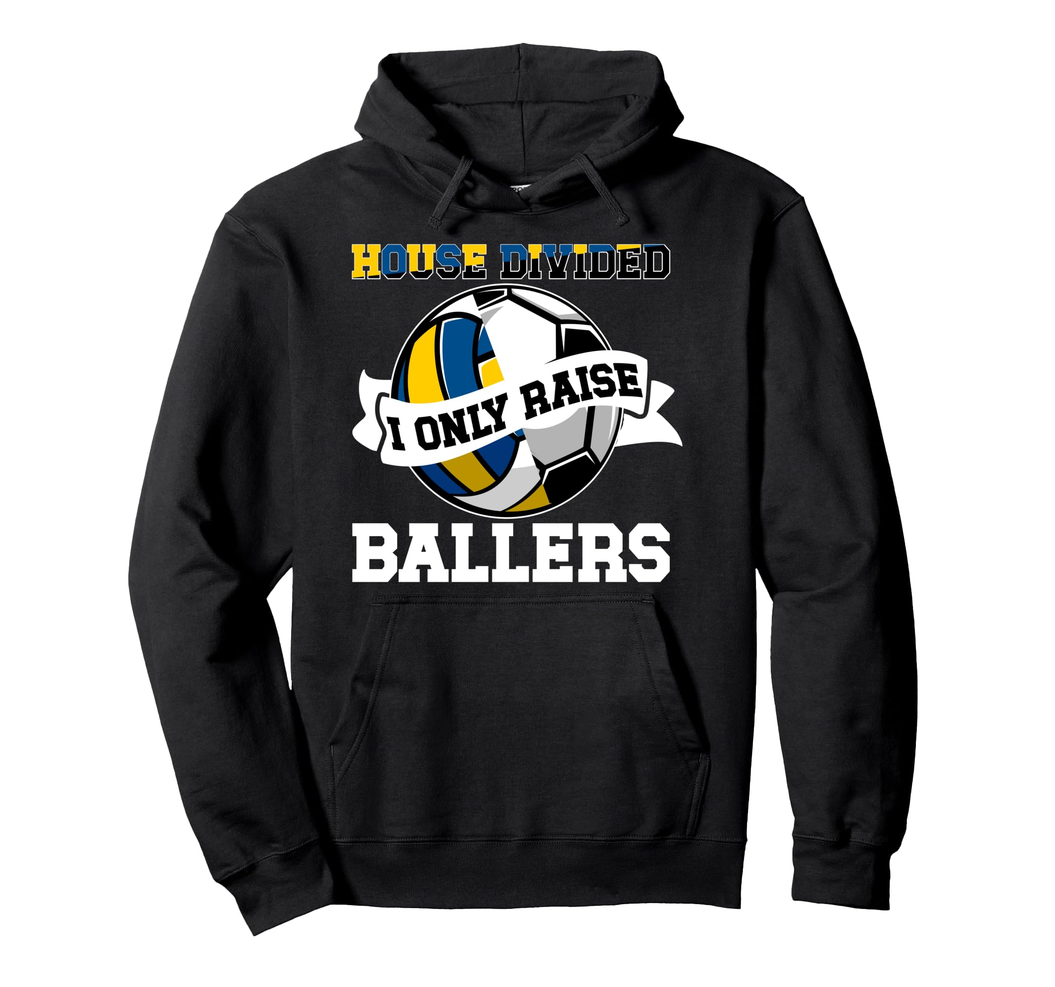 House Divided I Only Raise Ballers Hoodie - Unique Graphic Men Women