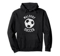 Waldorf Soccer Distressed 90S Hoodie - Novelty Apparel Unisex