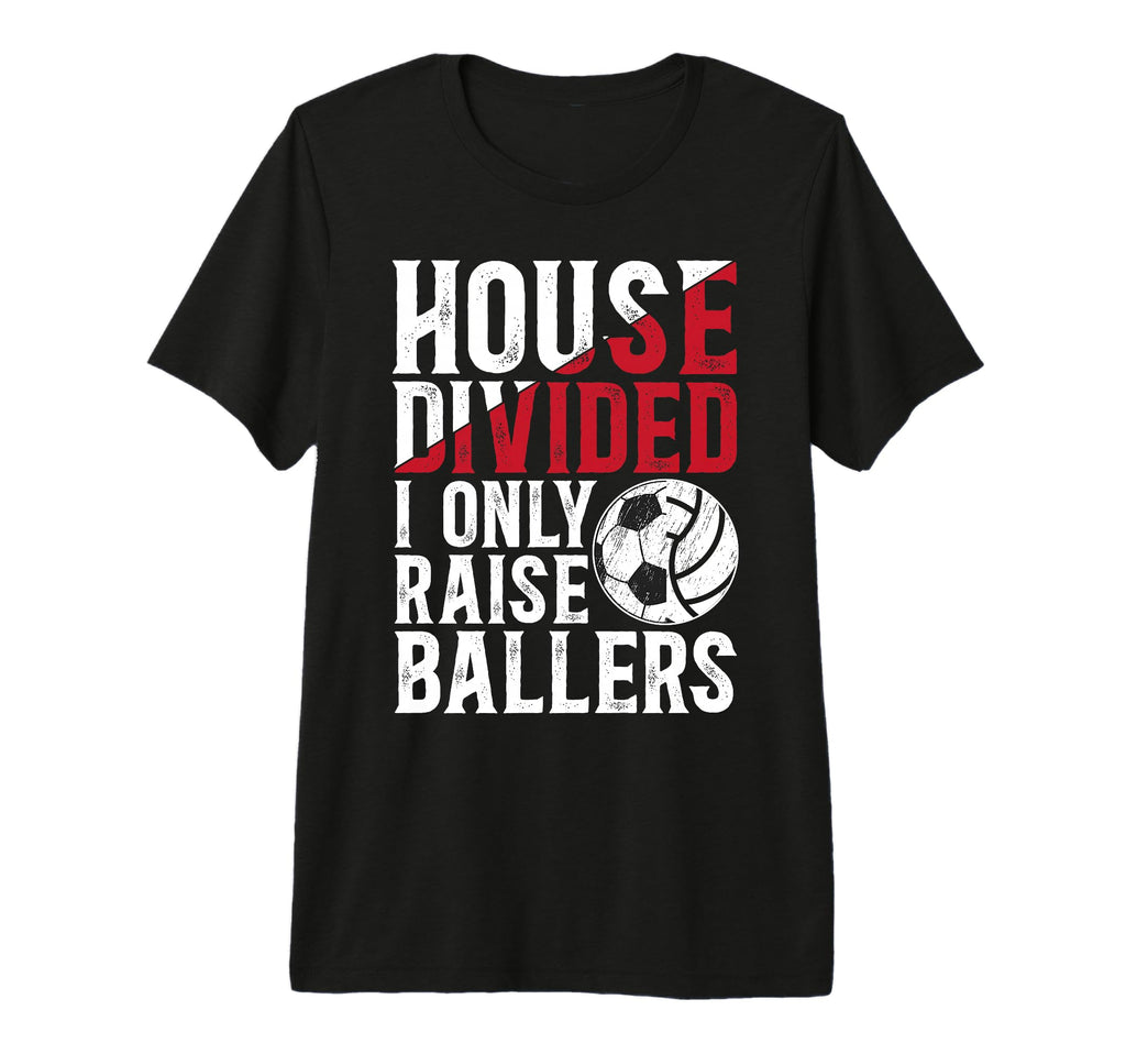 Mens House Divided I Only Raise T-Shirt - Aesthetic Graphic for Adults