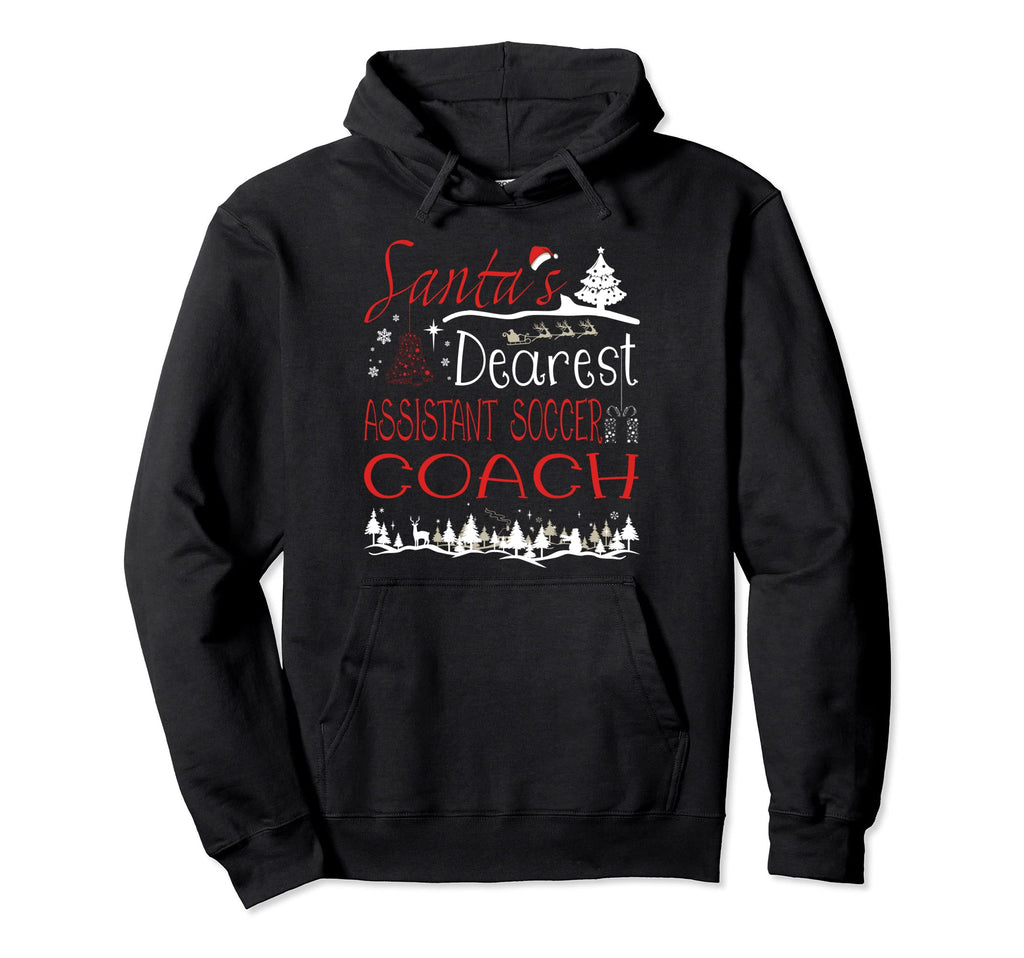 Assistant Soccer Coach Job Funny Hoodie - Novelty Apparel for Adults