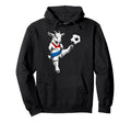 Paraguayn Football Player Paraguay Hoodie - Unique Graphic for Adults