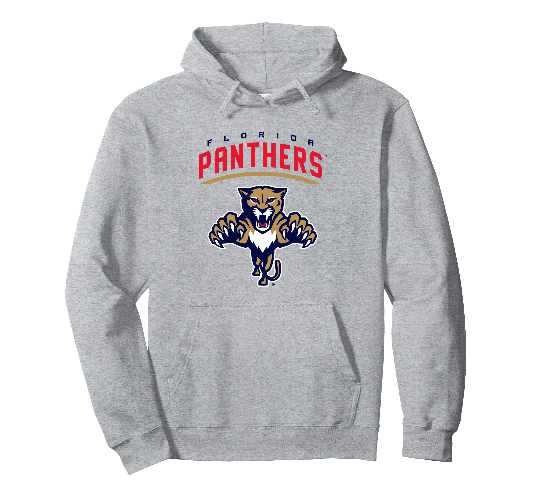 Florida Panthers Power Play Gray Hoodie - Fun Novelty Design Unisex