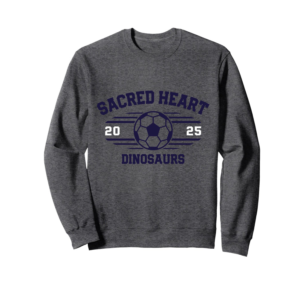 Sacred Heart Dinosaurs Soccer Ball Sweatshirt - Aesthetic Graphic Unisex