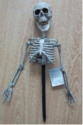 Yardstake Upper Body Skeleton