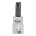 Mayhew Mayhew T50 Torx Short Insert Socket Bit, 3/8-Inch Drive