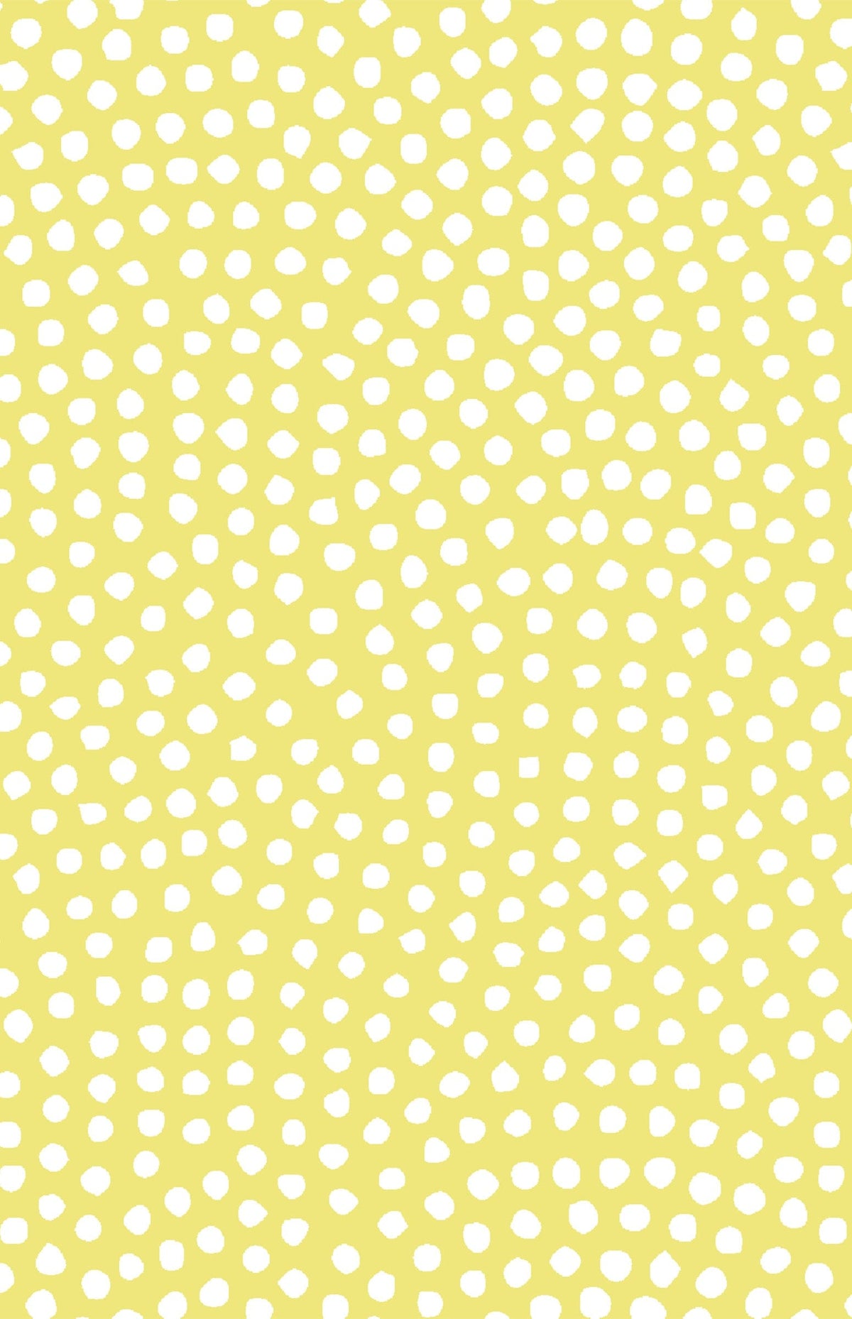 Jayana Top - Tangled Dots