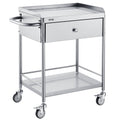Medical Cart, 2-Layer Stainless Steel Cart 220 lbs Weight Capacity, Lab Utility Cart with 360? Silent Wheels and a Drawer for Lab, Clinic, Kitchen, Salon