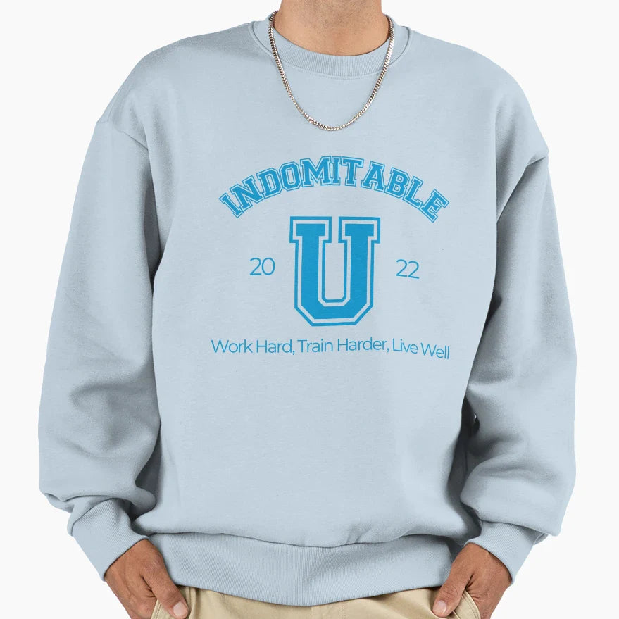 Indomitable University Really You Sweatshirt - Novelty Apparel Men Women
